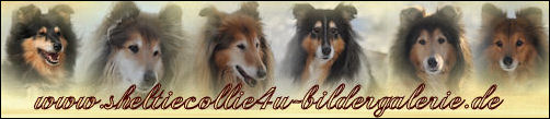 Banner-bildergalerie09
