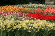 IMG_7101_DxO