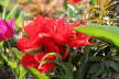 IMG_7179_DxO