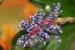 IMG_7200_DxO