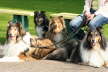 IMG_7225_DxO